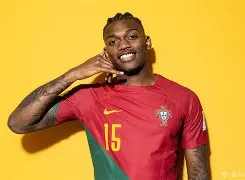 关于葡萄牙队被澳大利亚击败出局，遭遇惨败的信息